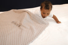 Load image into Gallery viewer, Gray blanket